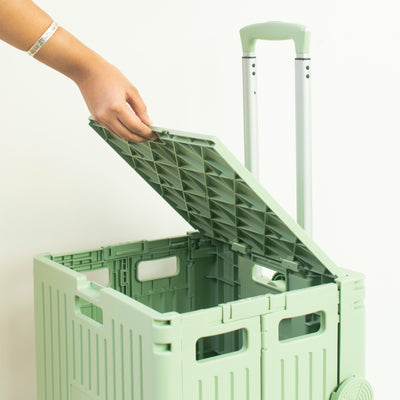 CarrySmart Collapsible Crate Trolley