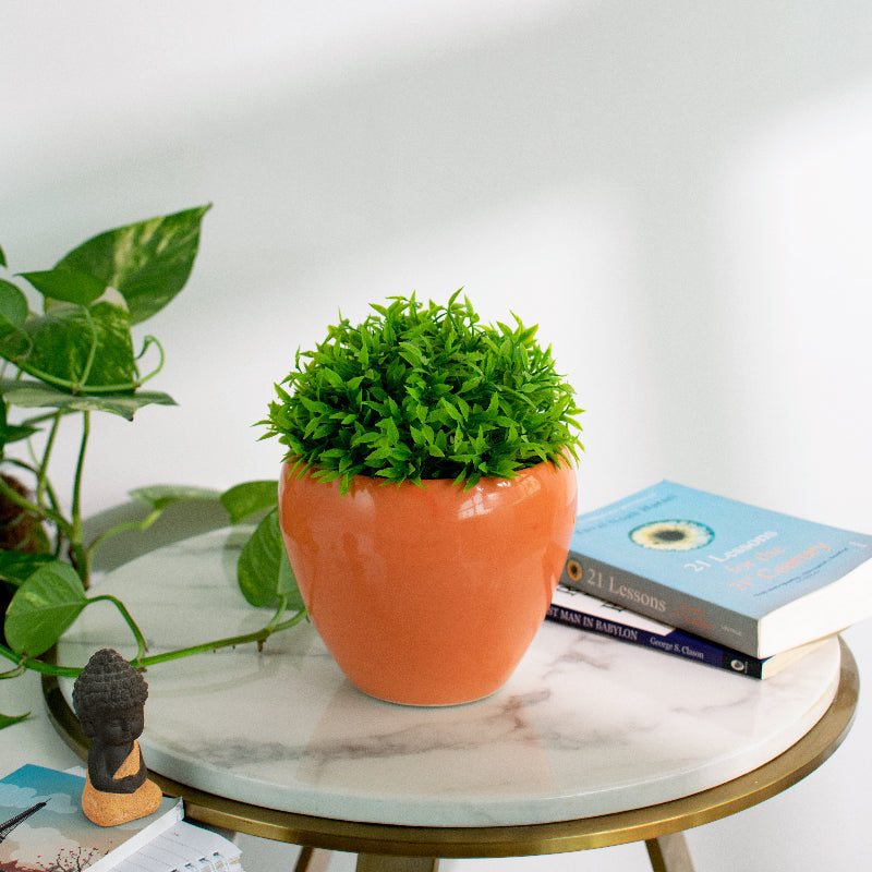 Basic Oval Planter - Hand Painted Resin Pot Planters June Trading Peach Orange  