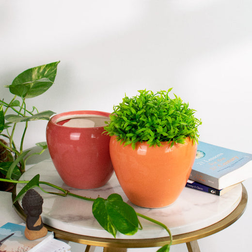 Basic Oval Planter - Hand Painted Resin Pot Planters June Trading   