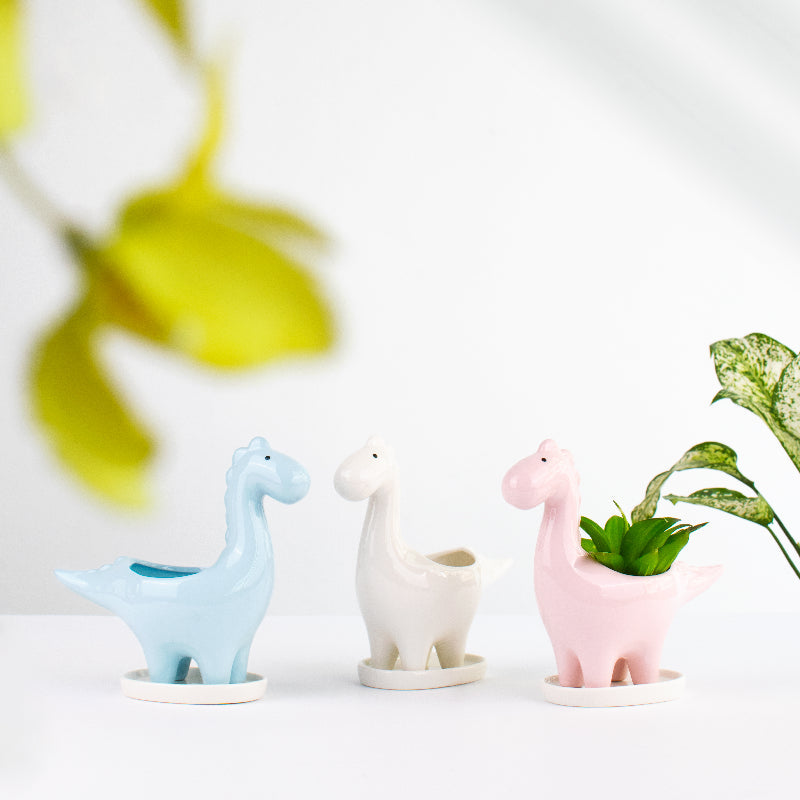 Dinosaur Ceramic Pot For Plants Planters June Trading   