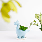 Dinosaur Ceramic Pot For Plants Planters June Trading Cloud Blue  