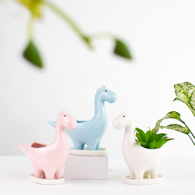 Dinosaur Ceramic Pot For Plants Planters June Trading   