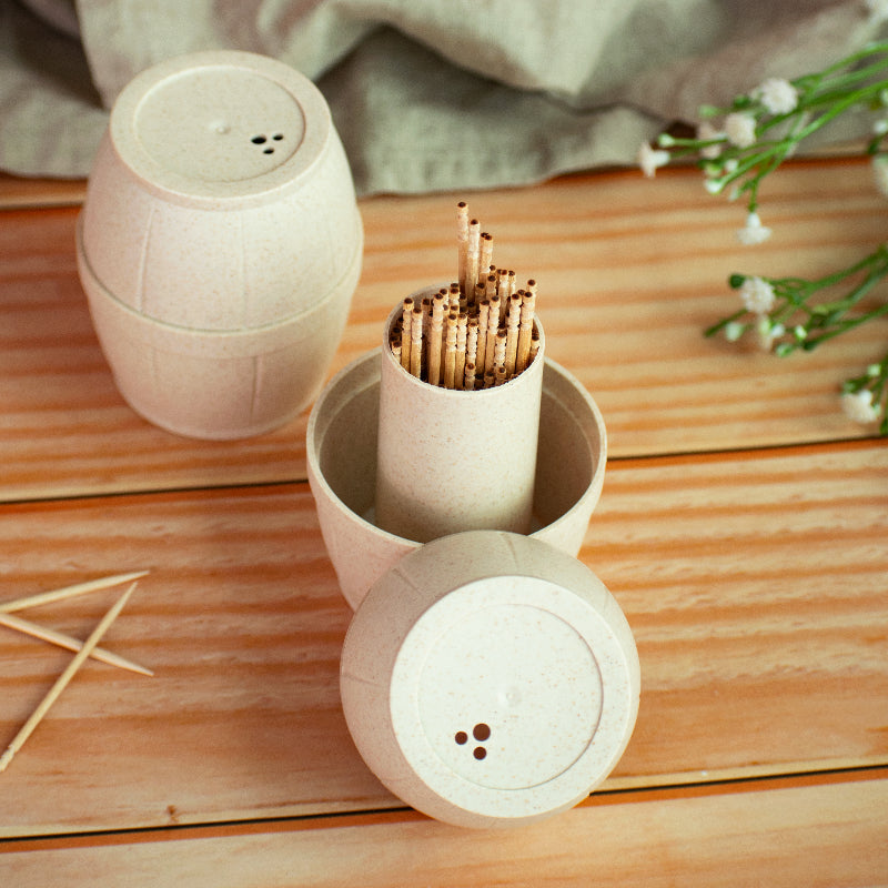 Toothpick Holder