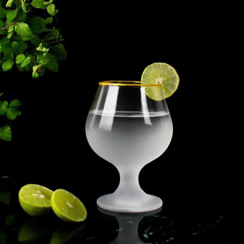 Elite Parlor Frosted Glass (Set of 2) Glasses June Trading   