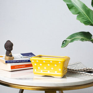 Small Rectangle Polka Dot Planter - Hand Painted Resin Pot Planters June Trading Butter Yellow  