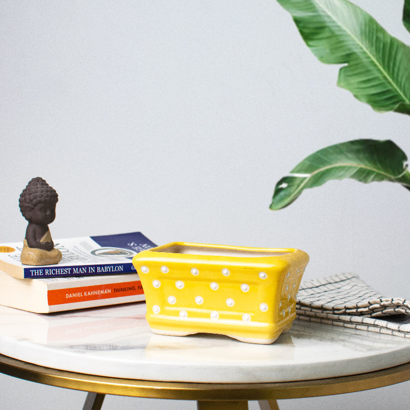Small Rectangle Polka Dot Planter - Hand Painted Resin Pot Planters June Trading Butter Yellow  