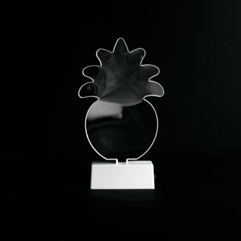 Pineapple - Infinity Light Lights June Trading   