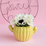 Cactus Planter - Hand Painted Mini Resin Pot Planters June Trading Butter Yellow  