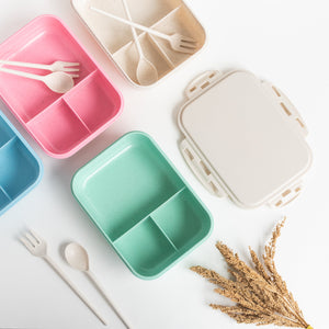 Wheat Straw Tiffin/Lunch Box Lunch Boxes June Trading   
