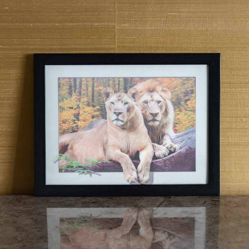Lion Couple - 3D Photo Frame Photo Frames June Trading   