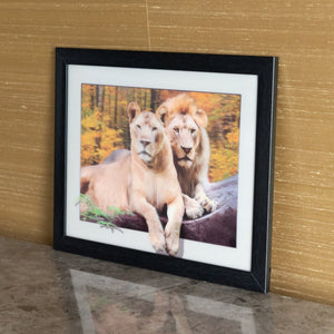 Lion Couple - 3D Photo Frame Photo Frames June Trading   