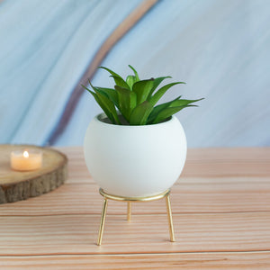 Circular Vase With Gold Metal Stand Vases June Trading   