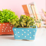 Small Rectangle Polka Dot Planter - Hand Painted Resin Pot Planters June Trading Sky Blue  