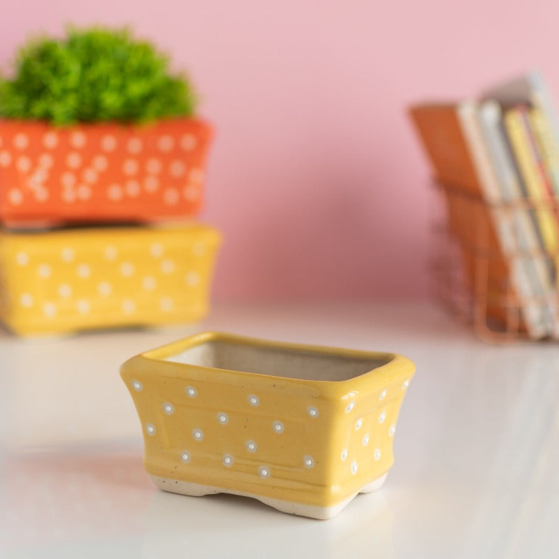 Small Rectangle Polka Dot Planter - Hand Painted Resin Pot Planters June Trading   