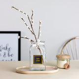 Iridiscent Gradient Glass Vase Vases June Trading Translucent Glass  