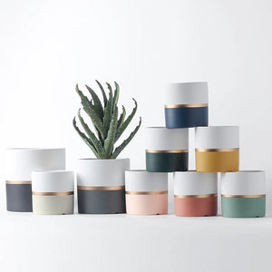 Elegant Pastel Dual Tone Planter Planters June Trading   