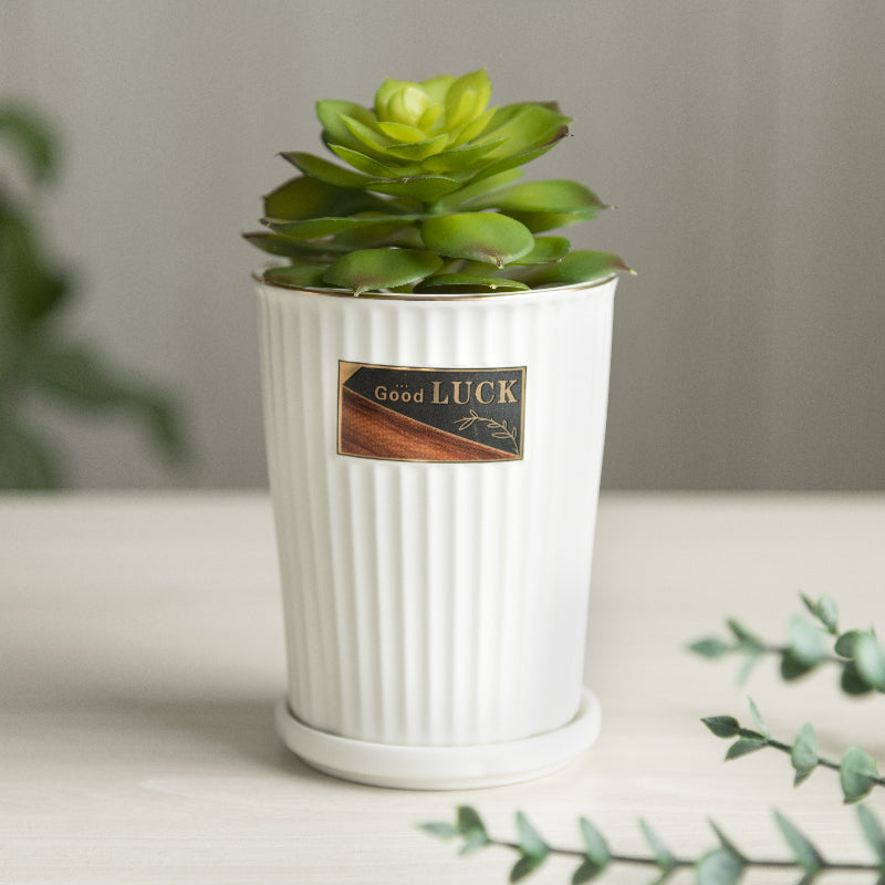 Nordic Ceramic Planter Cum Crockery Stand Vases June Trading Frost White  