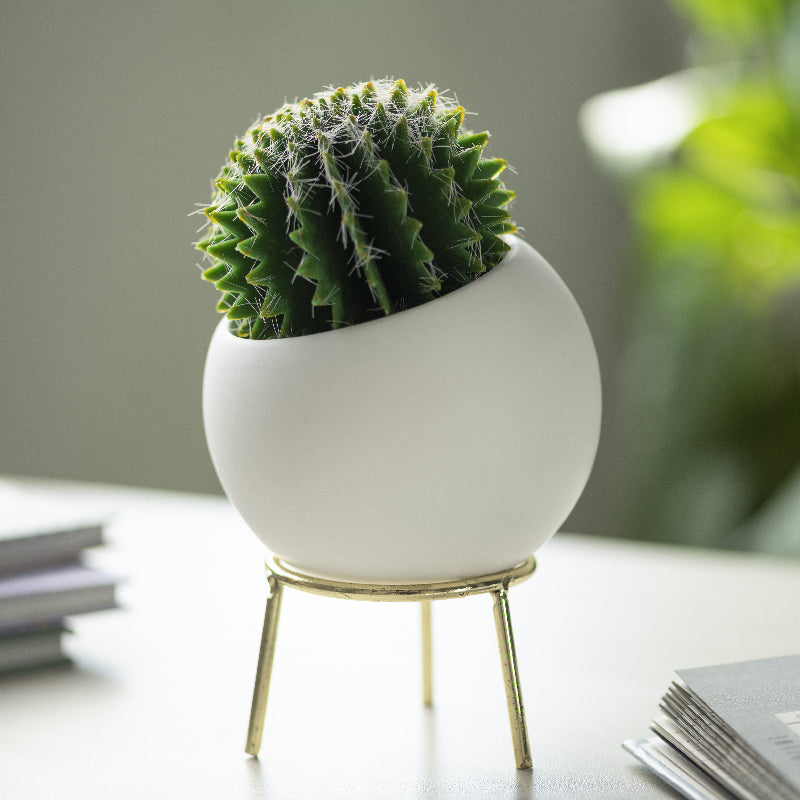 Circular Vase With Gold Metal Stand