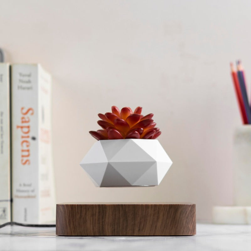 Magnetic Levitating Bonsai Geometric Pot With Wood Grain Base